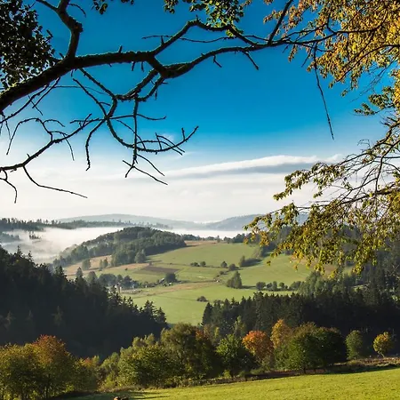 Na Krzywej Lace * Krajanow