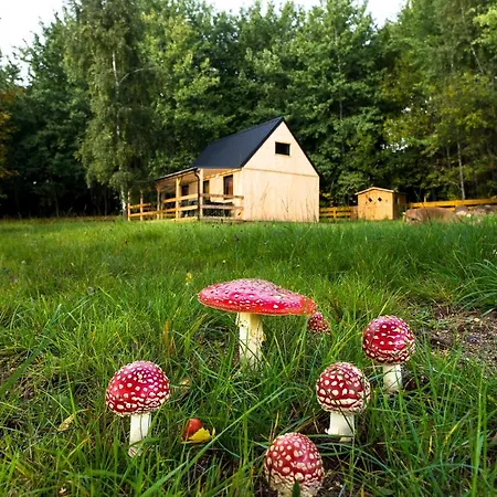 Lodge Na Krzywej Lace Krajanow