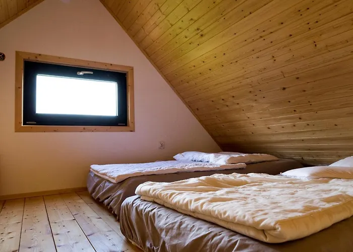 Na Krzywej Lace Krajanow