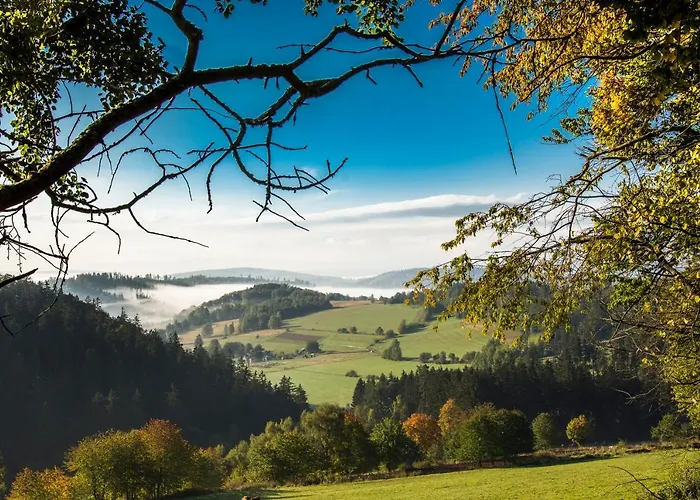 Na Krzywej Lace * Krajanow