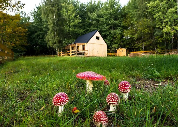 Lodge Na Krzywej Lace Krajanow